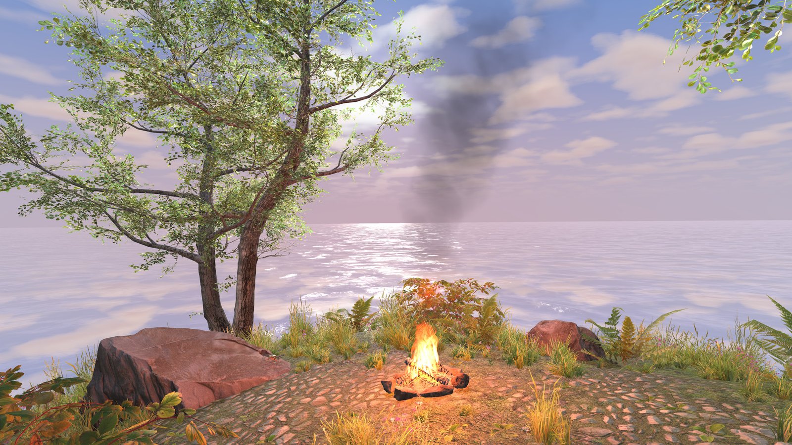 VR Experience